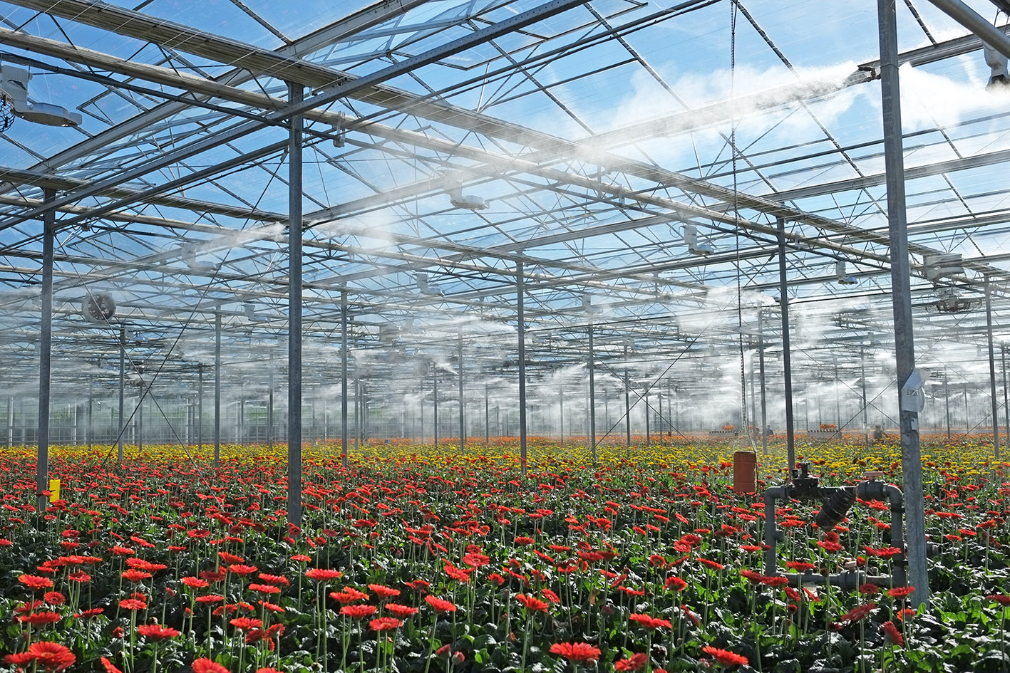 Greenhouse Misting